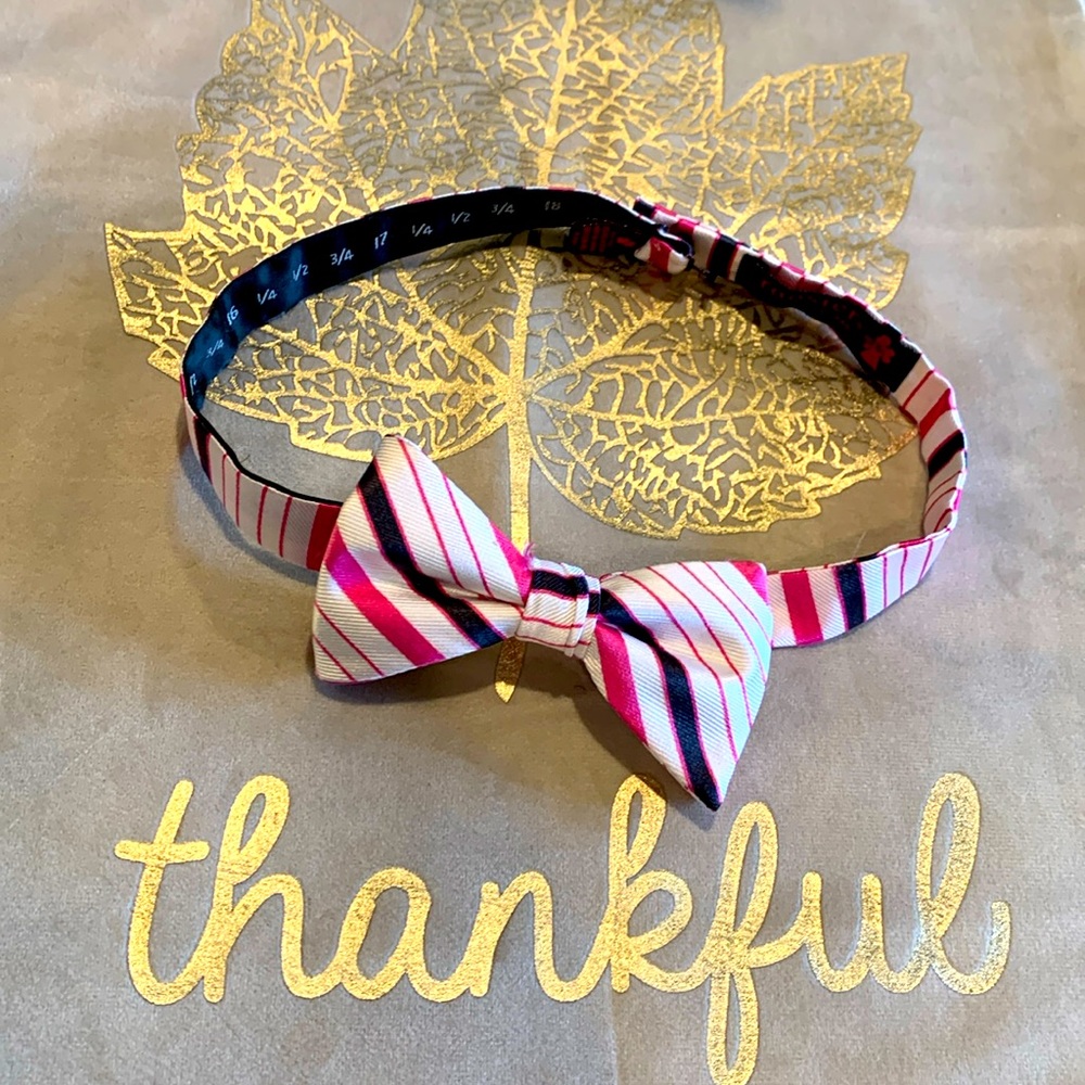 Young man’s pre-tied bow tie